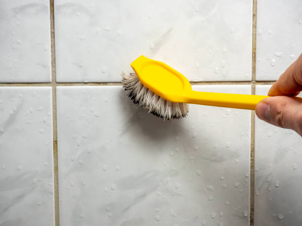 Best Black Mold Removal  in Congress, AZ