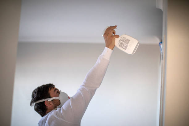 Best Mold Removal Company Near Me  in Congress, AZ