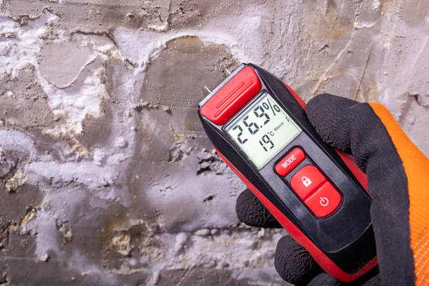 Best Office Mold Removal Services  in Congress, AZ