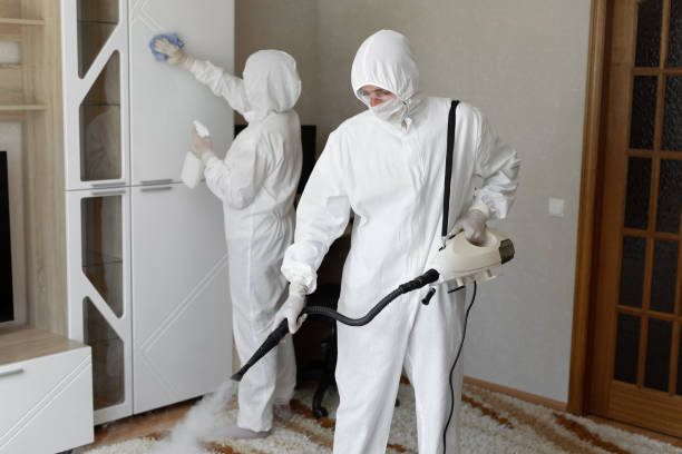 Professional Mold Removal in Congress, AZ